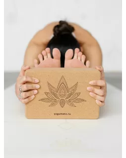 Cork yoga block Cork yoga block